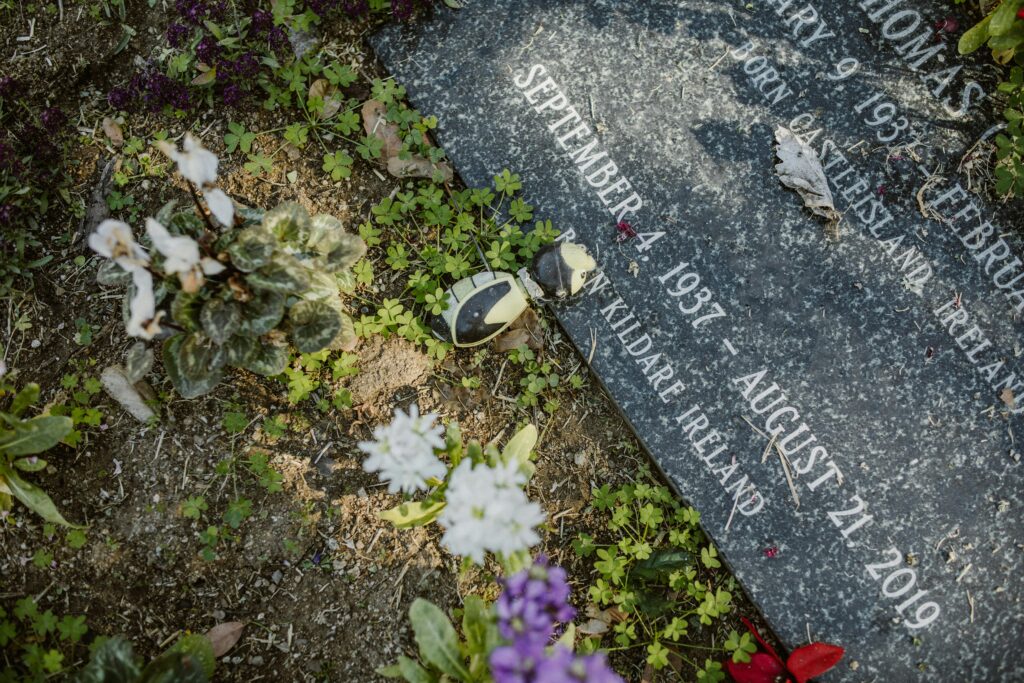 Purple Flowers on Gray Concrete Floor